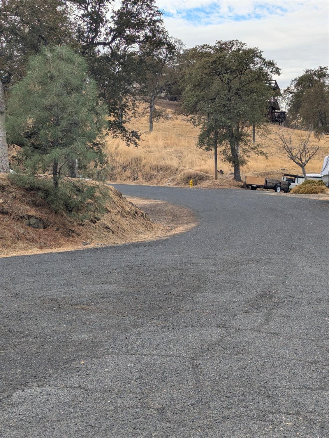 4314 Edgewater Court Copperopolis, CA 95228 - Photo 6 of 13 a view of dirt yard with a large tree