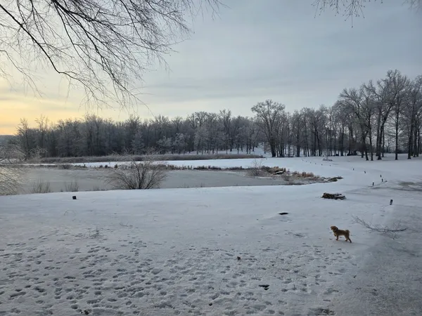 $3,595,000 | 7699 County Line Road North, White Bluff, TN 37187