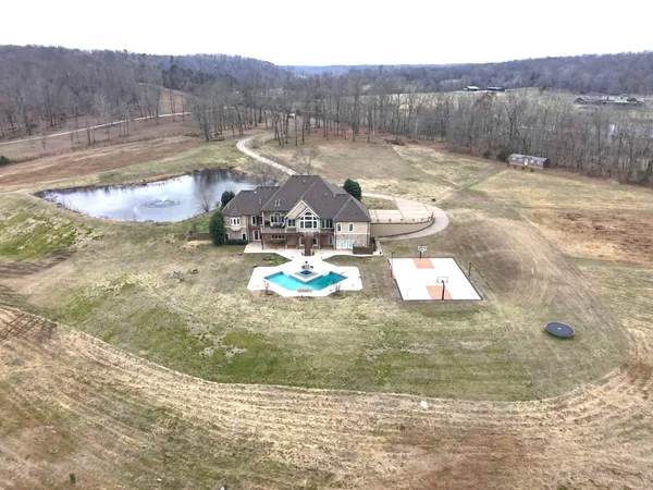 a view of a yard with a tree