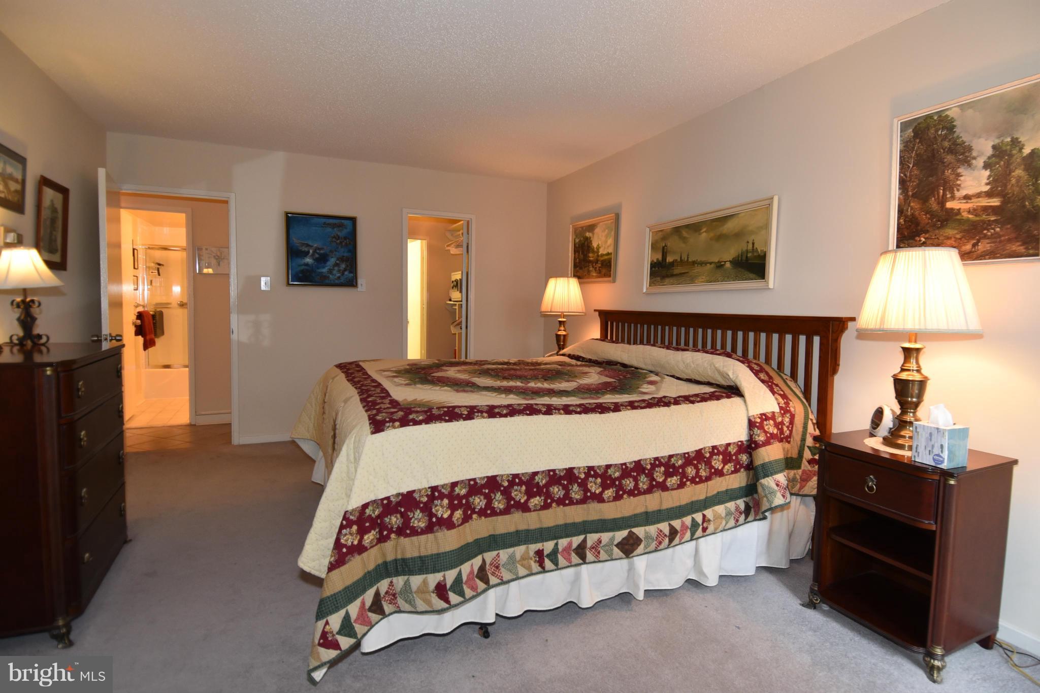 429 N Street Southwest, Unit S107 Washington, DC 20024 - Photo 16 of 30 Bedroom (Master)