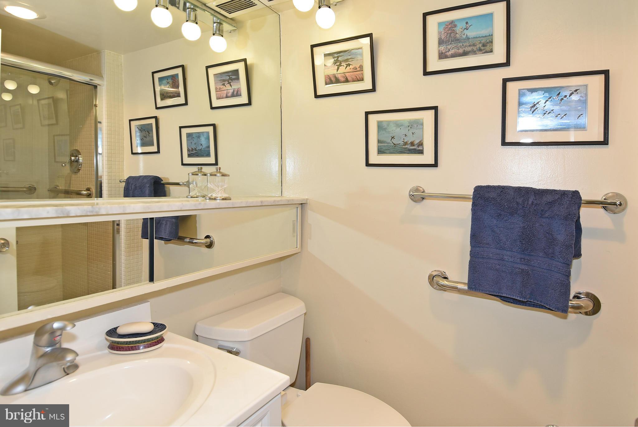 429 N Street Southwest, Unit S107 Washington, DC 20024 - Photo 17 of 30 Bath (Master)