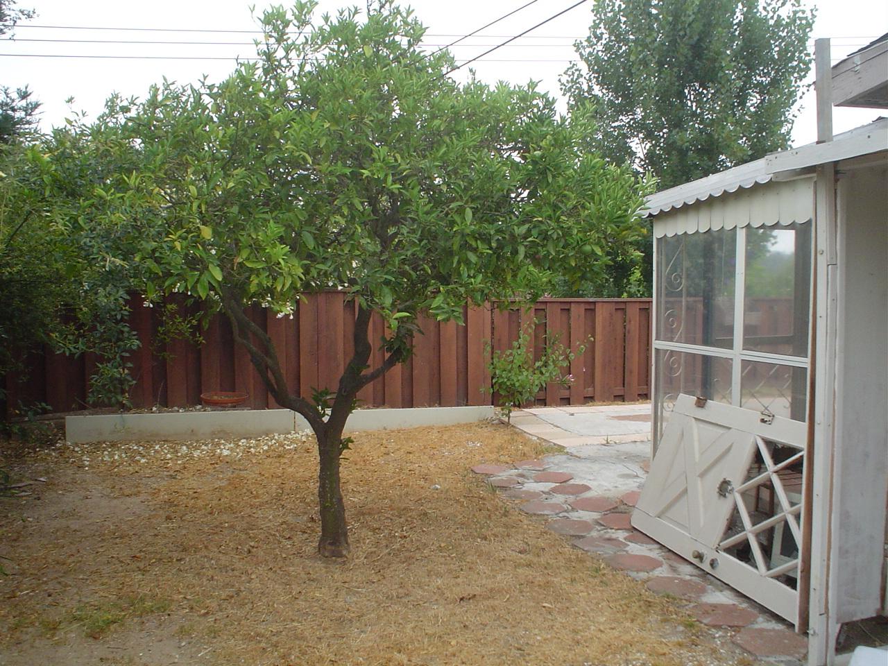 3943 La Colina Road Santa Barbara, CA 93110 - Photo 5 of 5 Sideyard