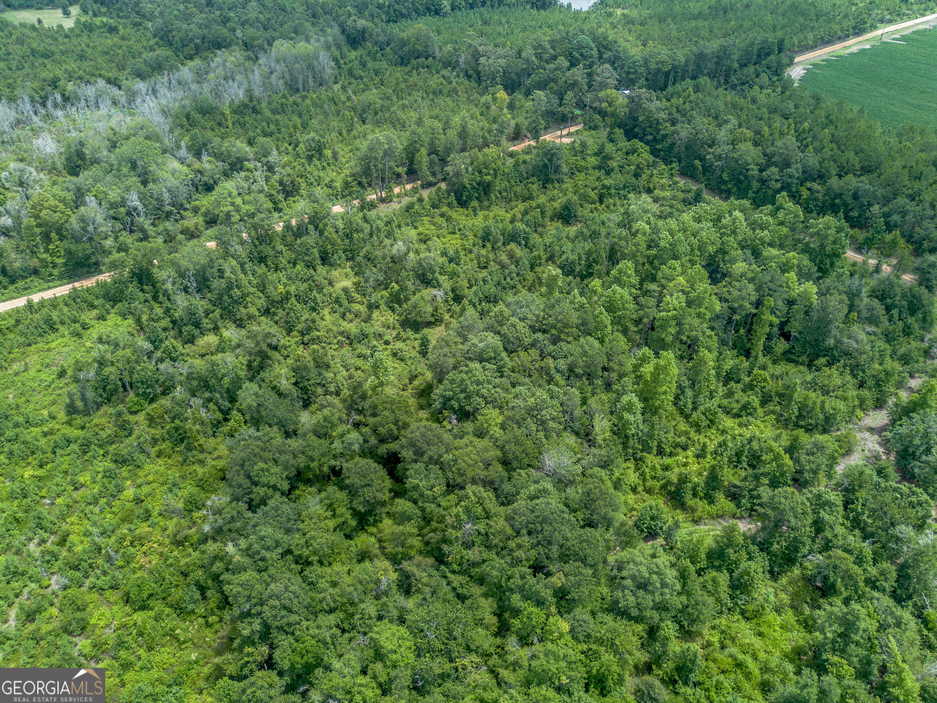 0 Nicholson-carr Road Chester, GA 31012 - Photo 23 of 54 Gallery Image 23