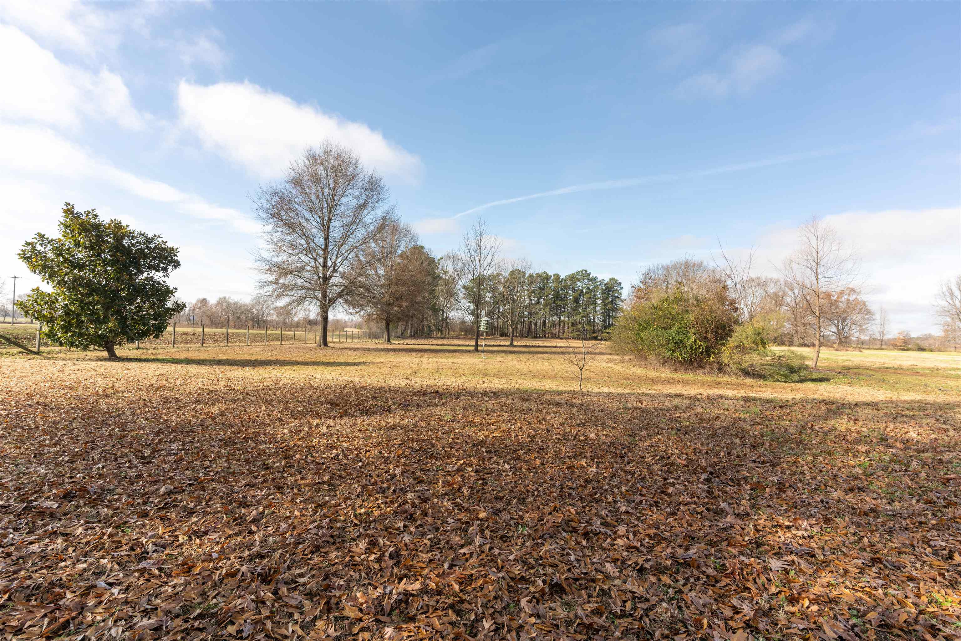 7941 Rosemark Road Millington, TN 38053 - Photo 22 of 26 Gallery Image 22