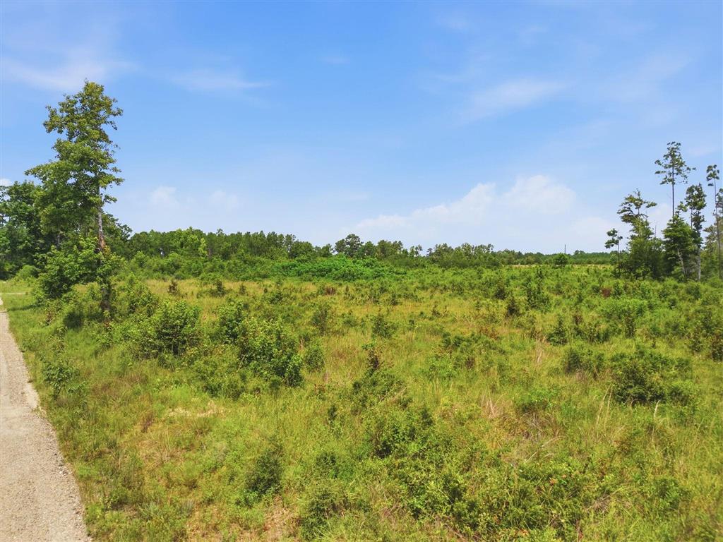 Elroy Sittig Road Longville, LA 70652 - Photo 9 of 9