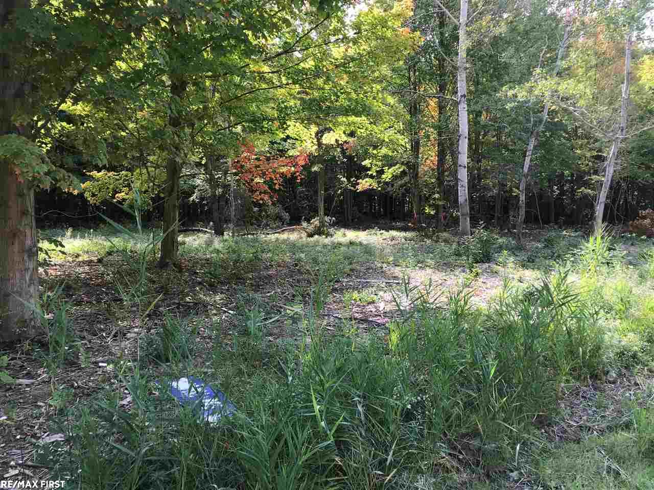 25 25 Mile Road New Baltimore, MI 48047 - Photo 4 of 4