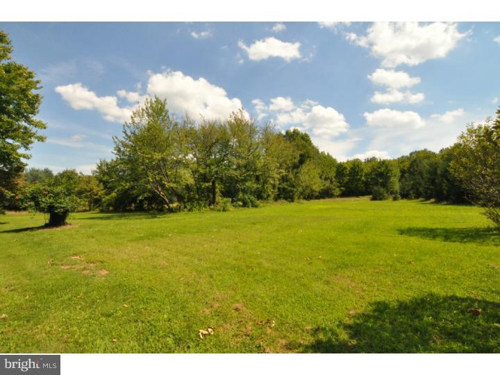 1451 Rickerts Road Perkasie, PA 18944 - Photo 22 of 22 Back Yard