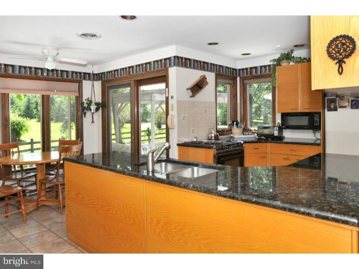 1451 Rickerts Road Perkasie, PA 18944 - Photo 10 of 22 Kitchen