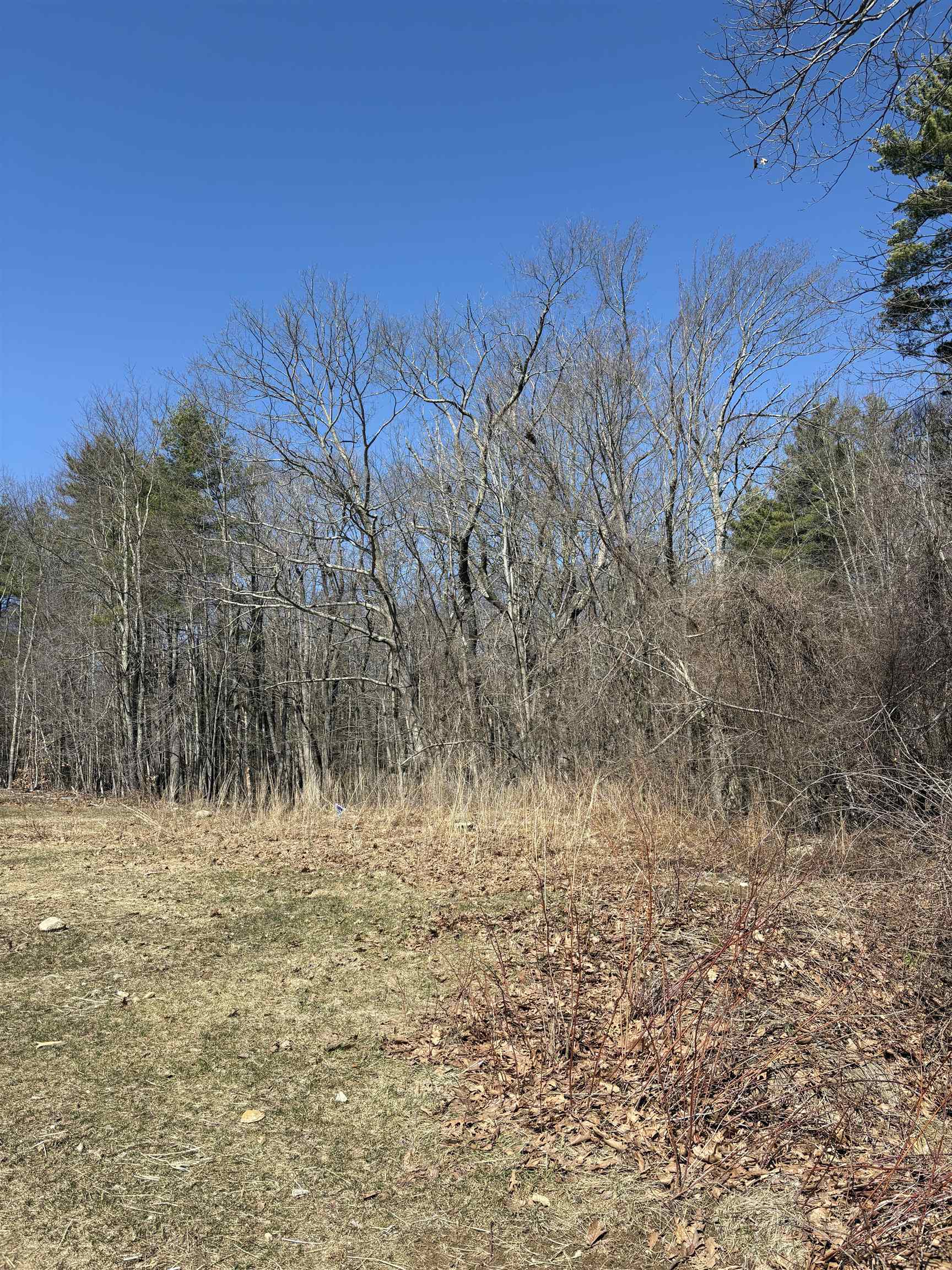 79-1 Currier Road Candia, NH 03034 - Photo 29 of 33