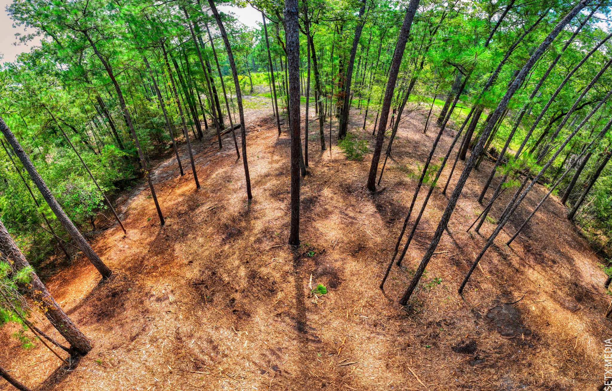 6566 Parkside Brookeland, TX 75931 - Photo 2 of 14