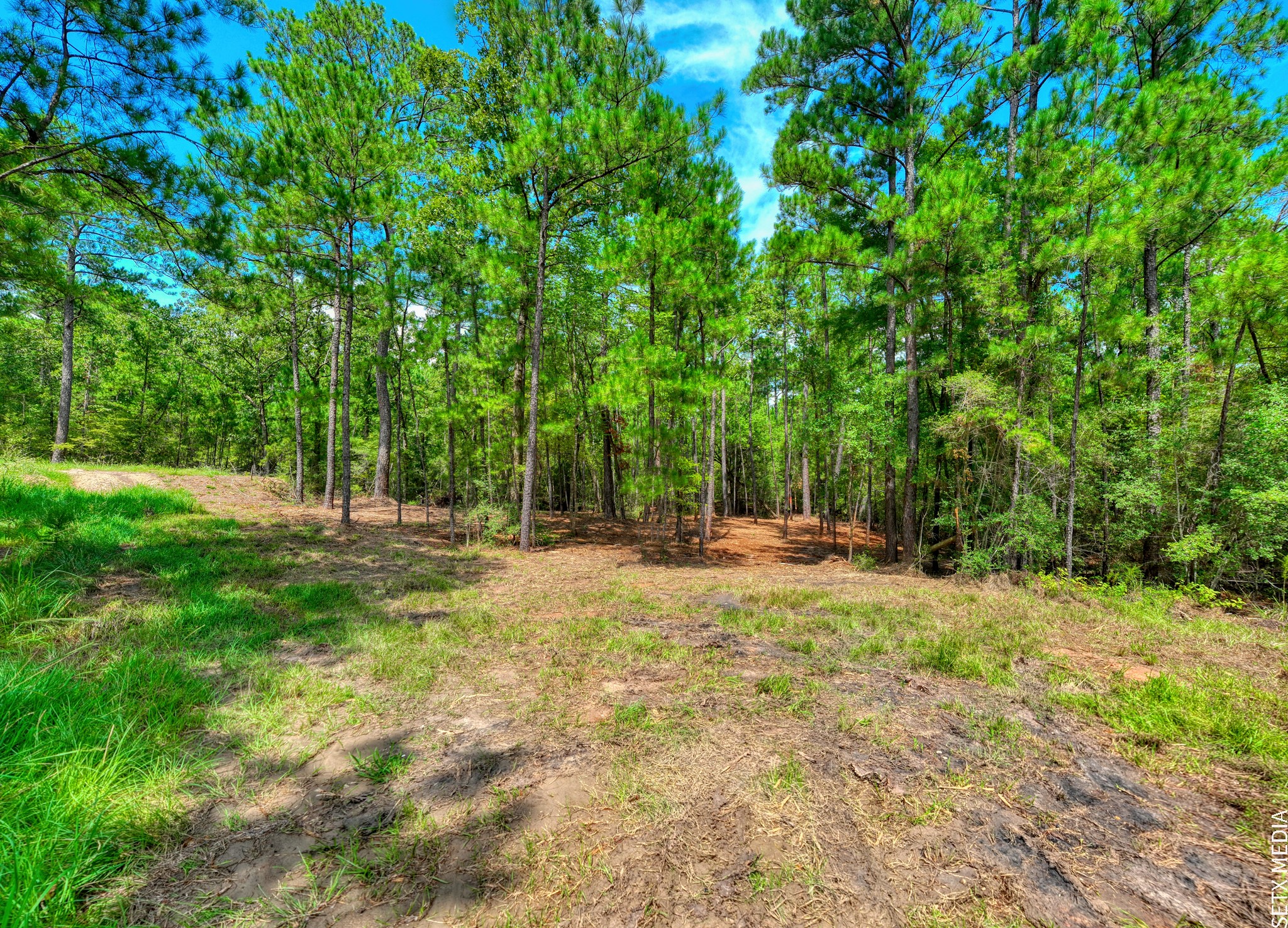 6566 Parkside Brookeland, TX 75931 - Photo 10 of 14