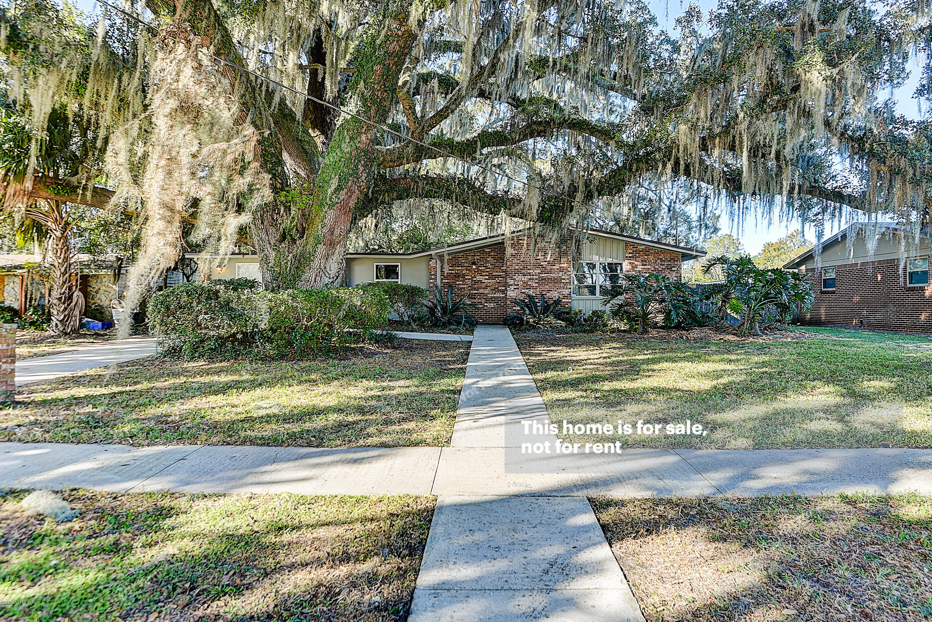 a view of a swimming pool with a garden and trees