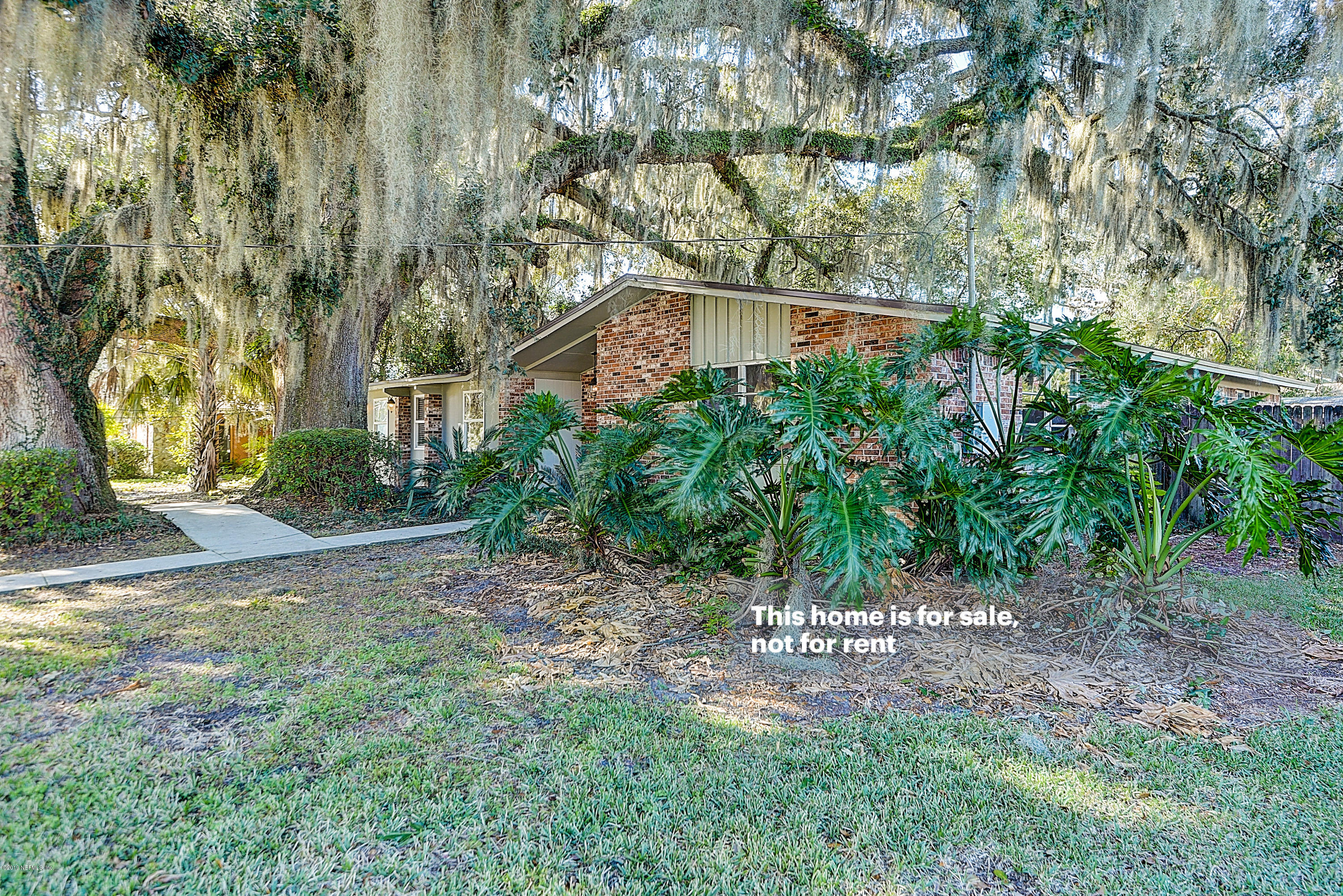 1152 Crown Drive Jacksonville, FL 32221 - Photo 27 of 31 a view of a yard with plants and trees