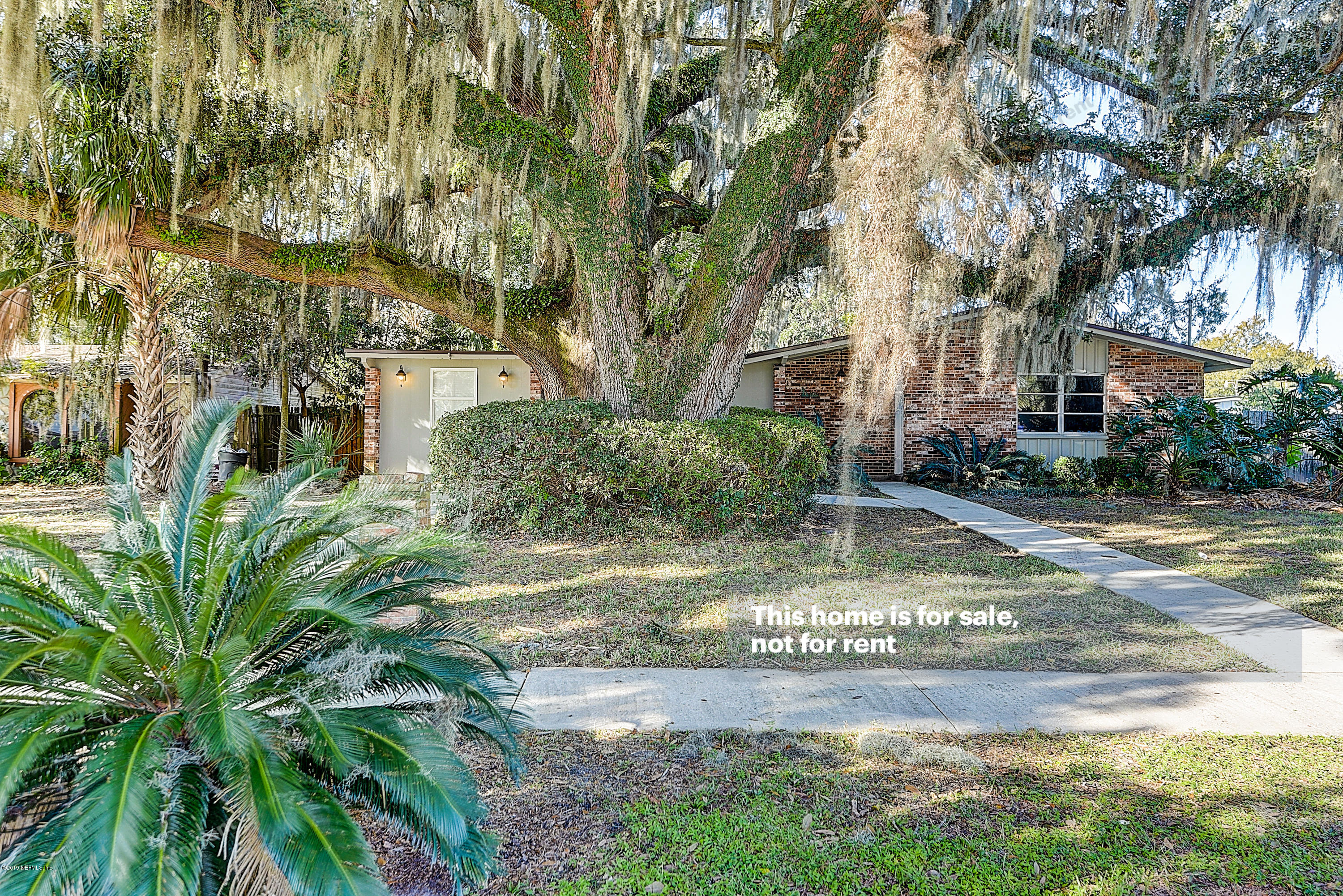 1152 Crown Drive Jacksonville, FL 32221 - Photo 28 of 31 a view of yard with green space