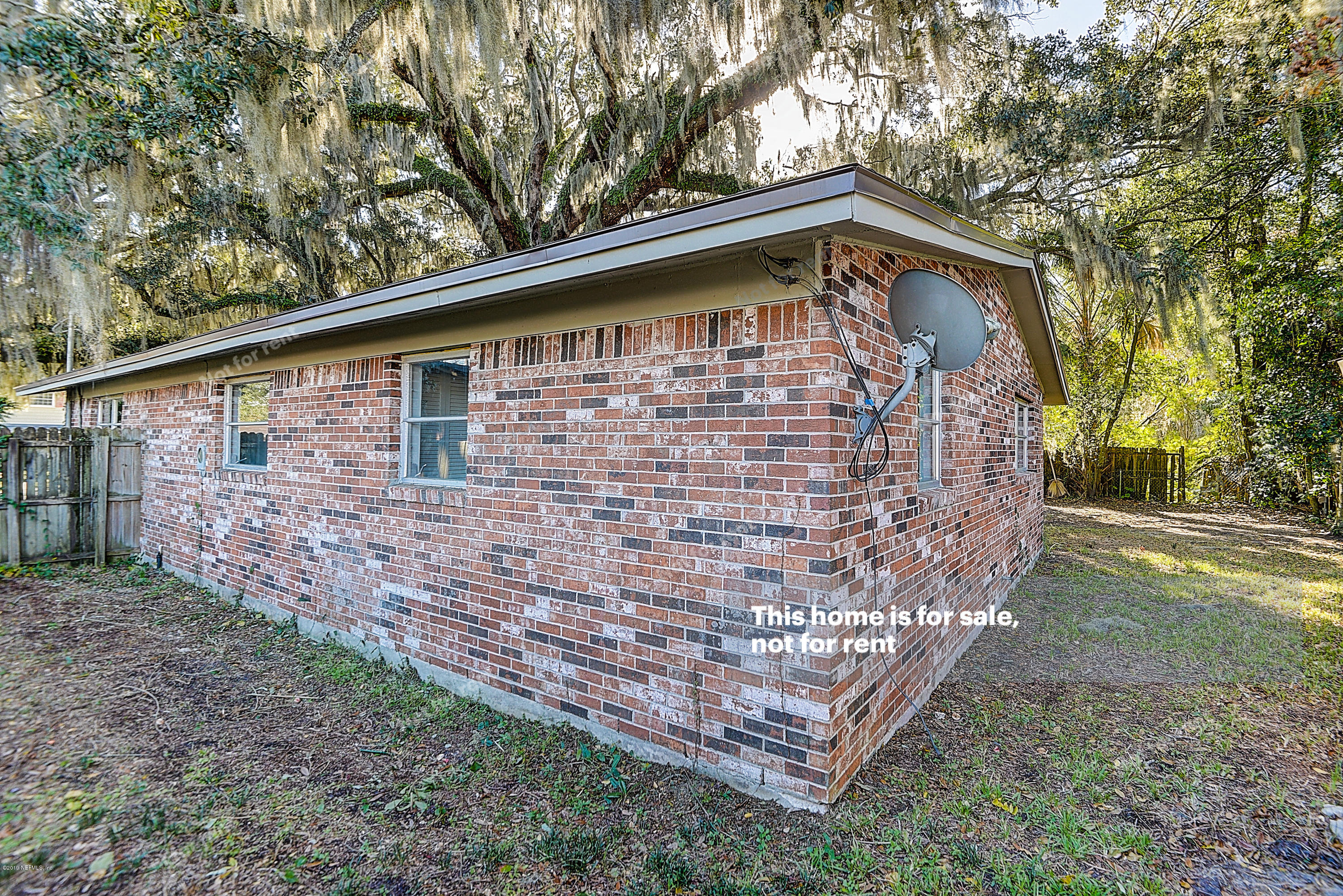 1152 Crown Drive Jacksonville, FL 32221 - Photo 30 of 31 a backyard of a house with lots of green space