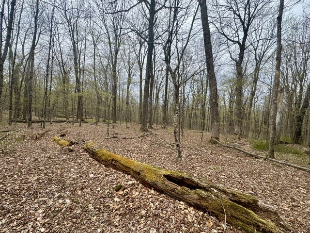 Lot 4 Shaver Hill Road Meridale, NY 13806 - Photo 21 of 44