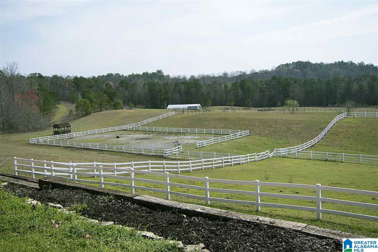 1066 Signal Valley Trail Chelsea, AL 35043 - Photo 29 of 40