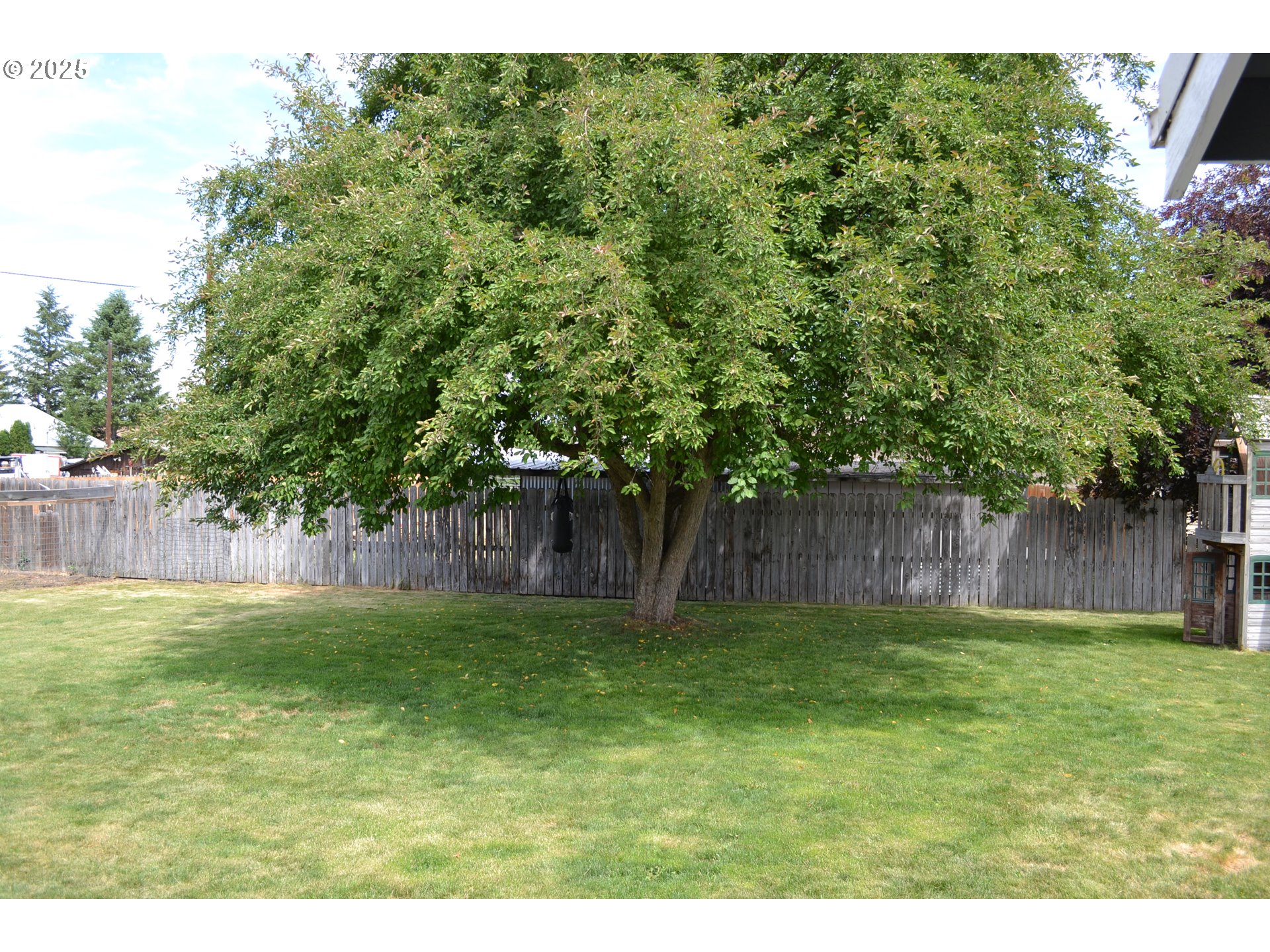 604 Southwest 2nd Street Enterprise, OR 97828 - Photo 15 of 20 Yard