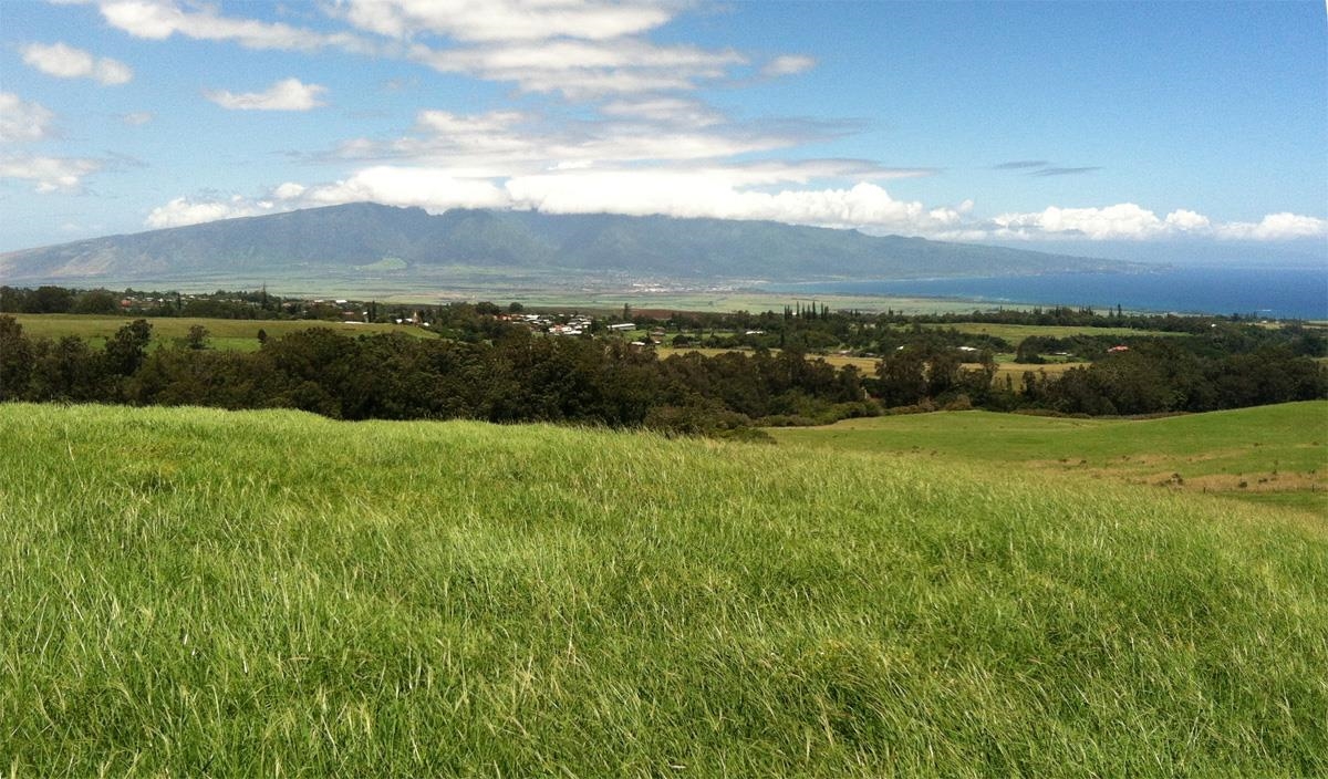 325 Waiahiwi Road Makawao, HI 96768 - Photo 13 of 30