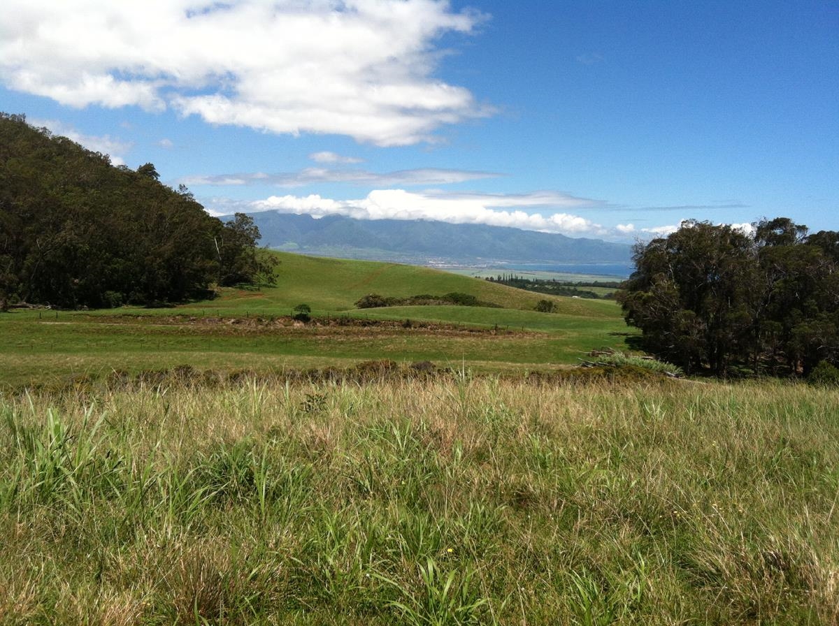 325 Waiahiwi Road Makawao, HI 96768 - Photo 14 of 30 a view of a lake with a sunset