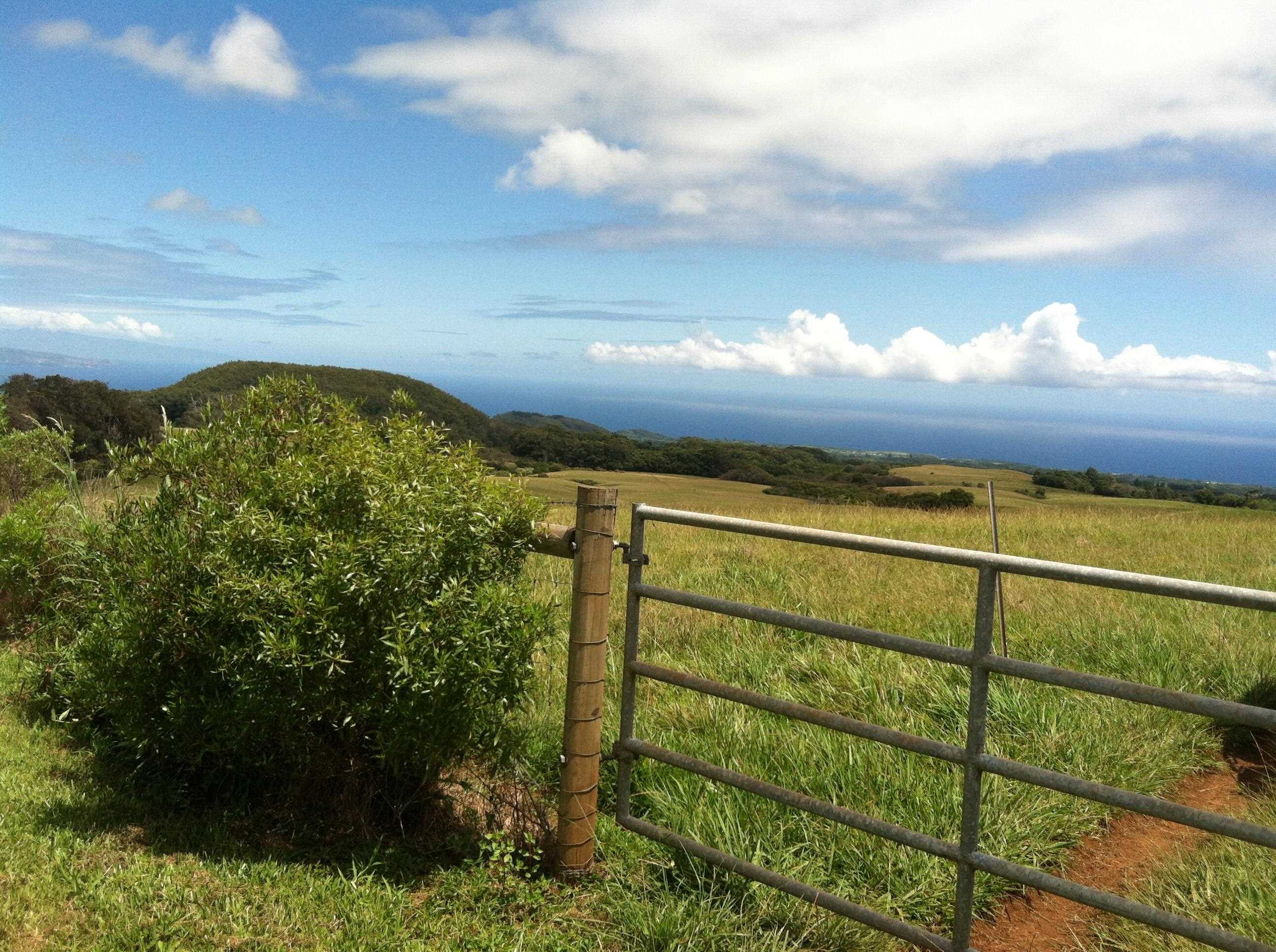 325 Waiahiwi Road Makawao, HI 96768 - Photo 15 of 30 a view of a pathway