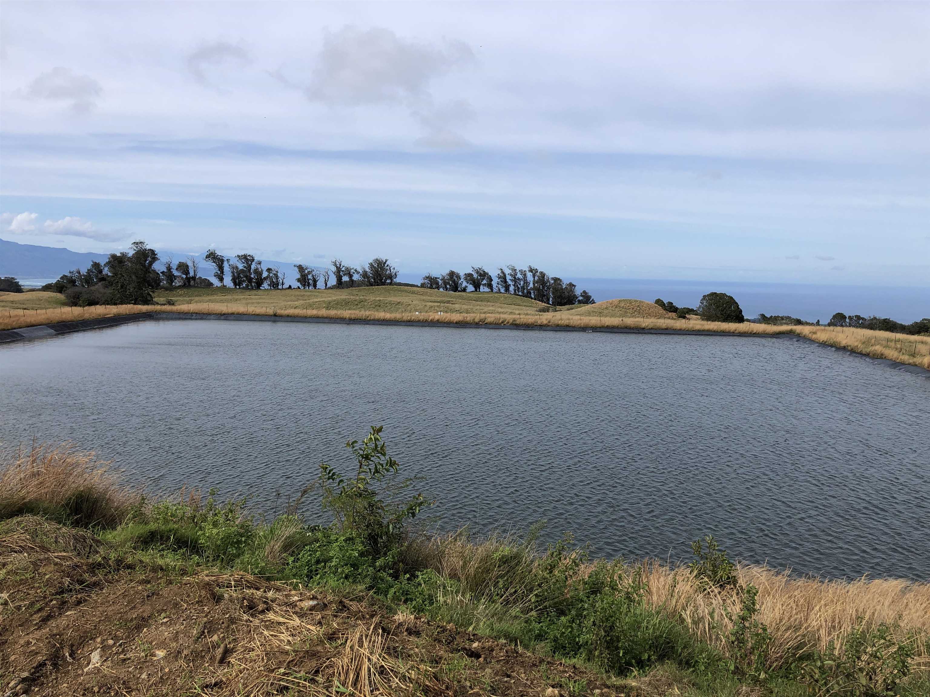 325 Waiahiwi Road Makawao, HI 96768 - Photo 20 of 30 a view of a lake with outdoor space