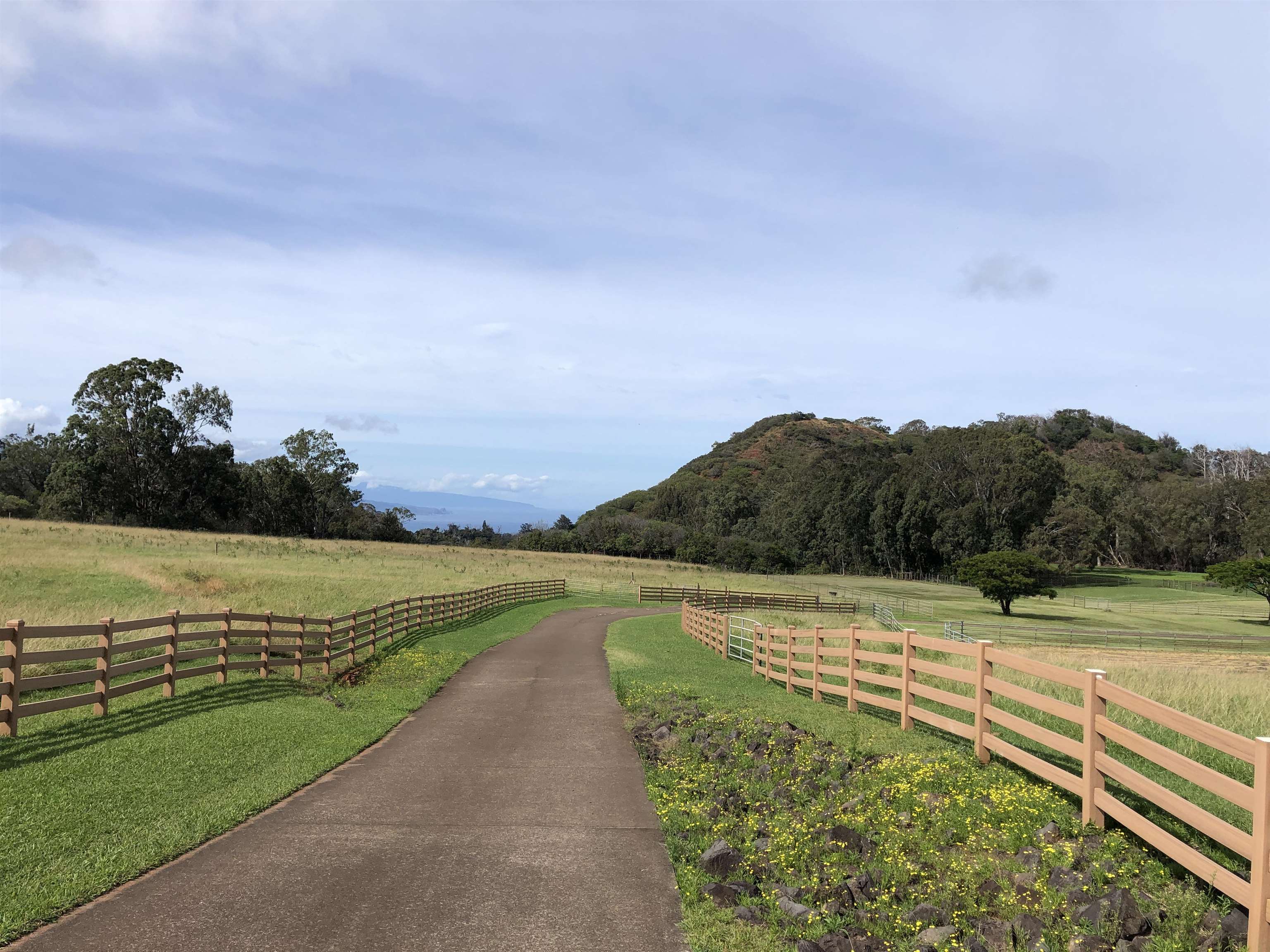 325 Waiahiwi Road Makawao, HI 96768 - Photo 2 of 30 a view of a lake with a yard