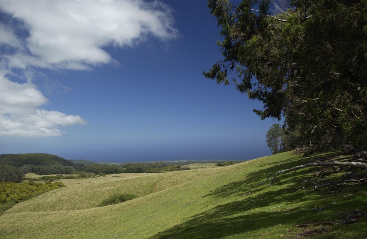 325 Waiahiwi Road Makawao, HI 96768 - Photo 3 of 30 a view of an ocean and city