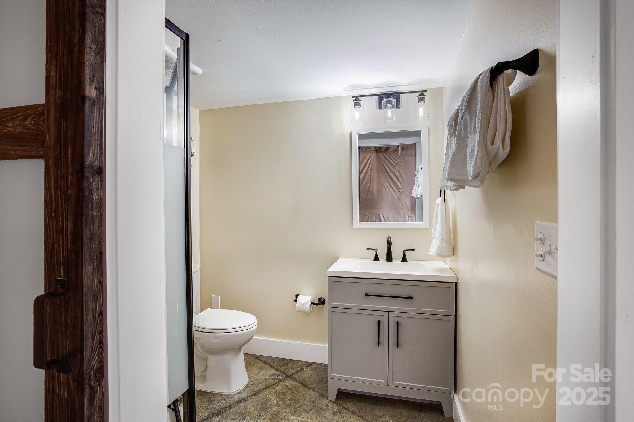 186 L Meece Road Rosman, NC 28772 - Photo 18 of 45 a bathroom with a sink toilet and mirror