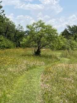 4708 Pioneer Road Balch Springs, TX 75180 - Photo 5 of 7 a view of a lake view
