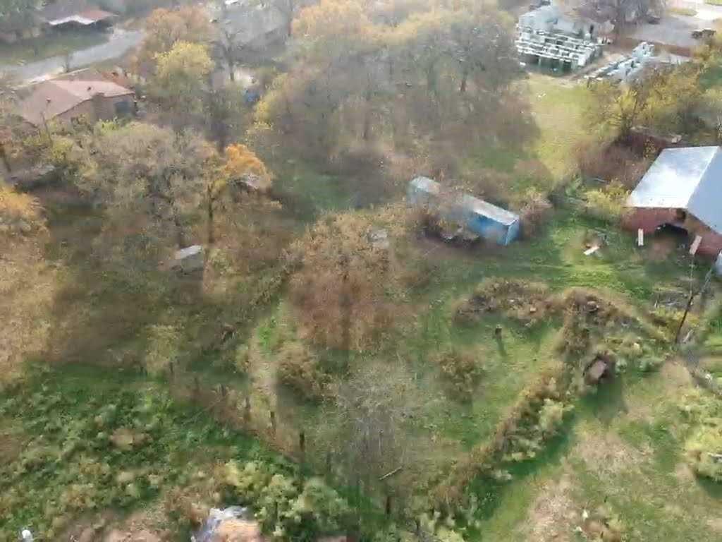 4708 Pioneer Road Balch Springs, TX 75180 - Photo 7 of 7 a close up of a plant in a garden