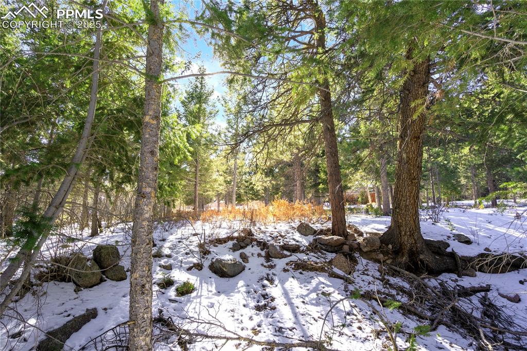 0 Rock Ridge Road Palmer Lake, CO 80133 - Photo 2 of 7 a view of a backyard of the house