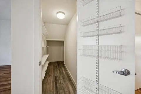 a view of a park with large trees