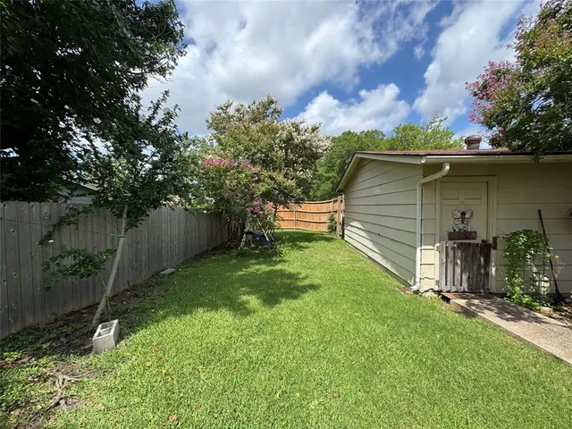 a view of a backyard with plants and a large tree