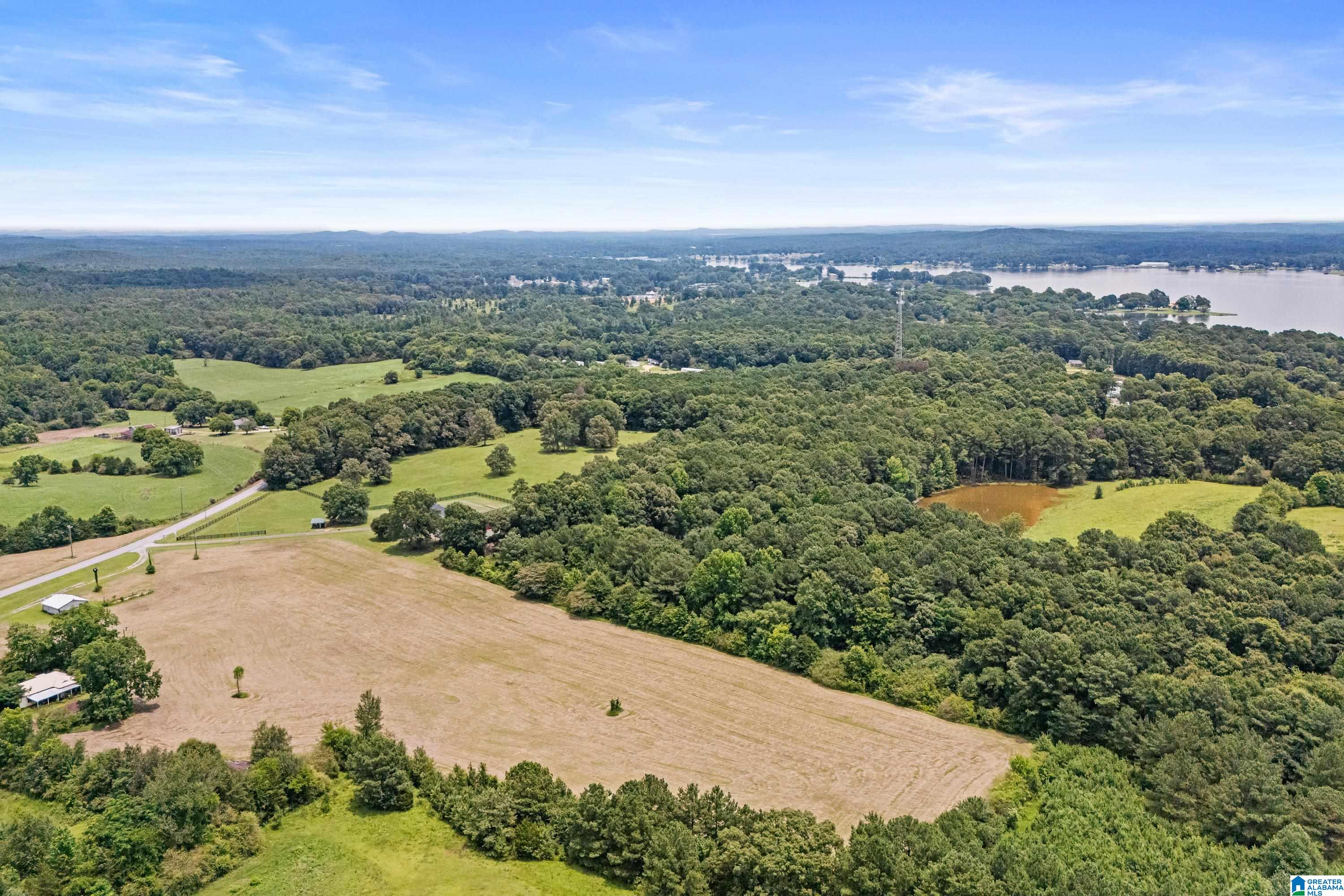 2304 Driving Range Road Cropwell, AL 35054 - Photo 59 of 59