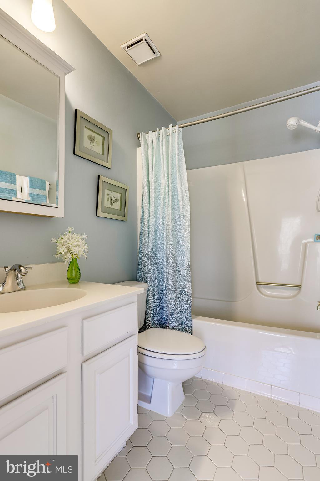 3064 South Glebe Road Arlington, VA 22206 - Photo 32 of 72 Full Bath #1