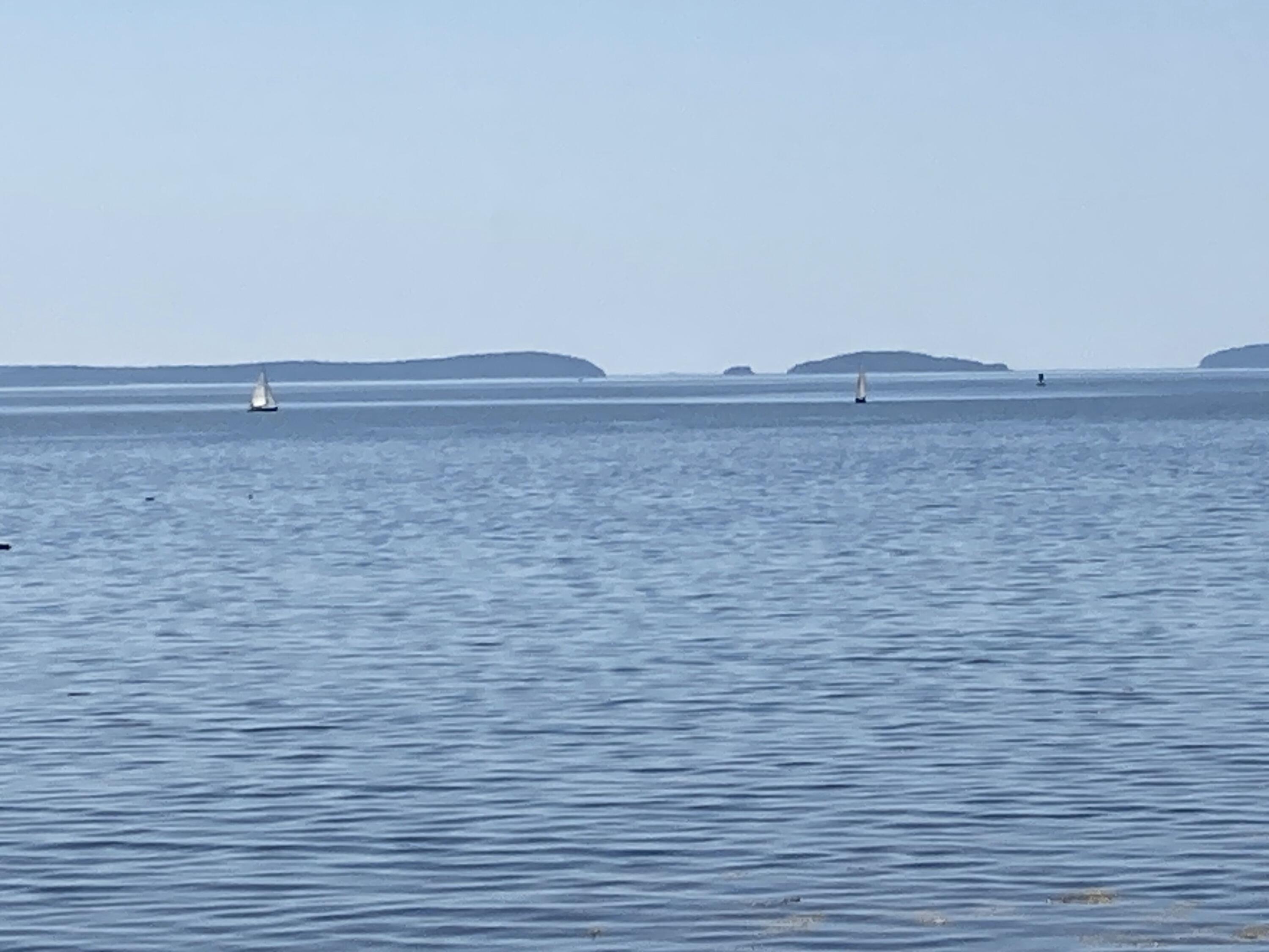 157 Jellison Cove Road Hancock, ME 04640 - Photo 31 of 39 Sailing class on the bay.