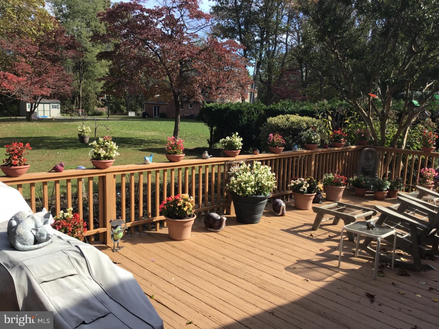 629 Sherman Road Springfield, PA 19064 - Photo 3 of 21 Deck