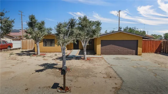 a palm trees sitting in the middle of a yard
