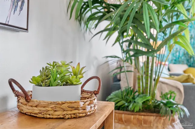 a view of a flower in a garden