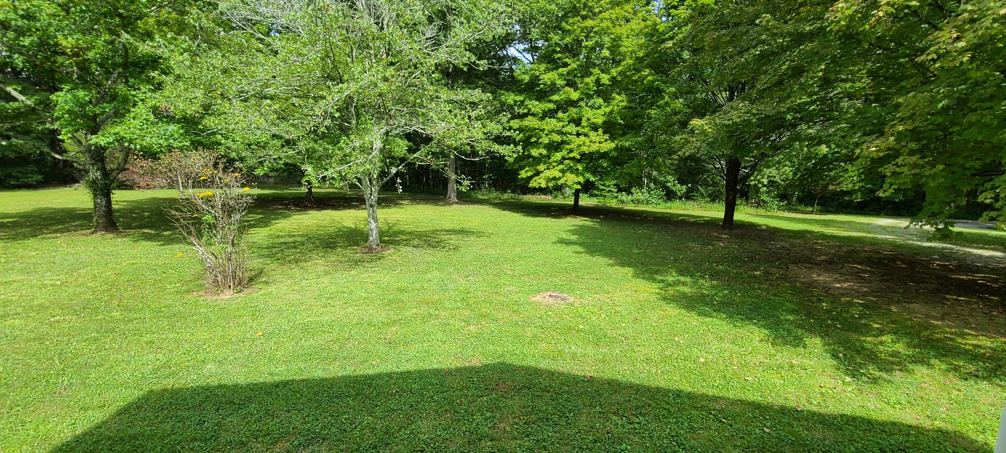 937 Colony Road Coalmont, TN 37313 - Photo 23 of 36 Gallery Image 23
