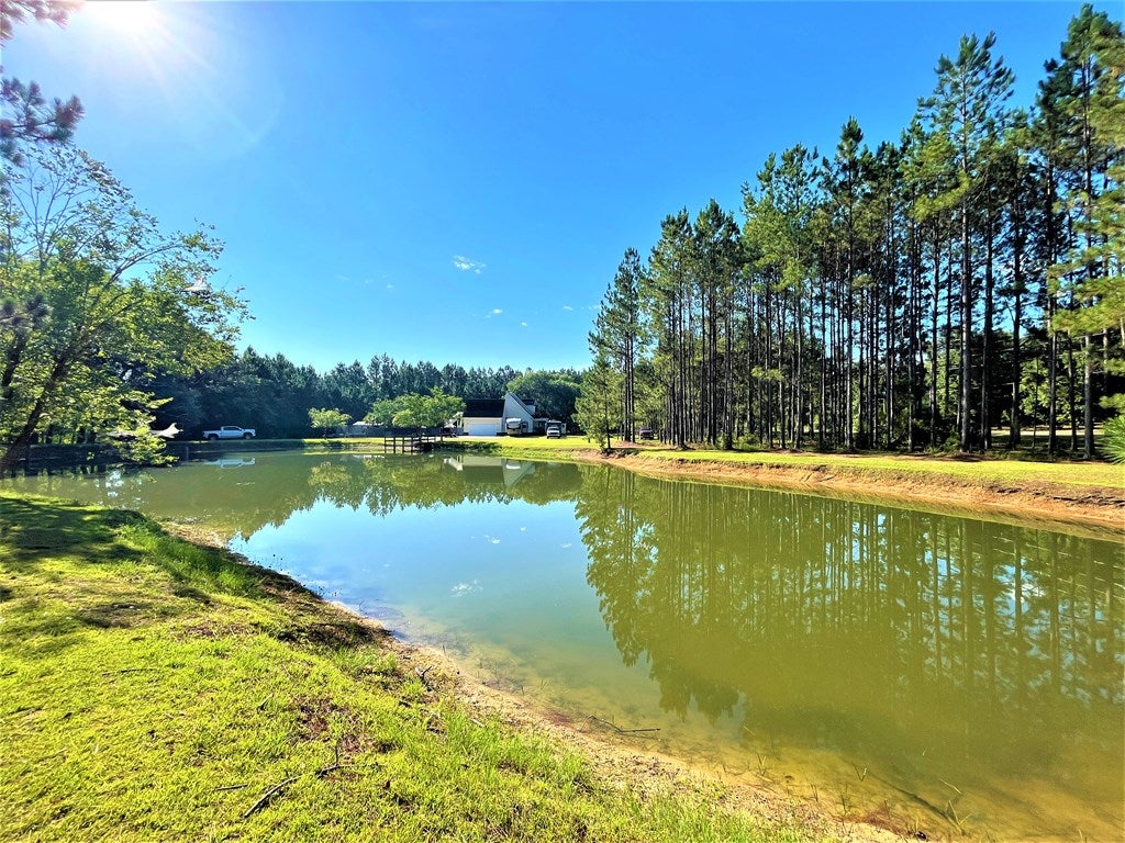 5800 Shiloh Road Hahira, GA 31632 - Photo 34 of 36 Gallery Image 34