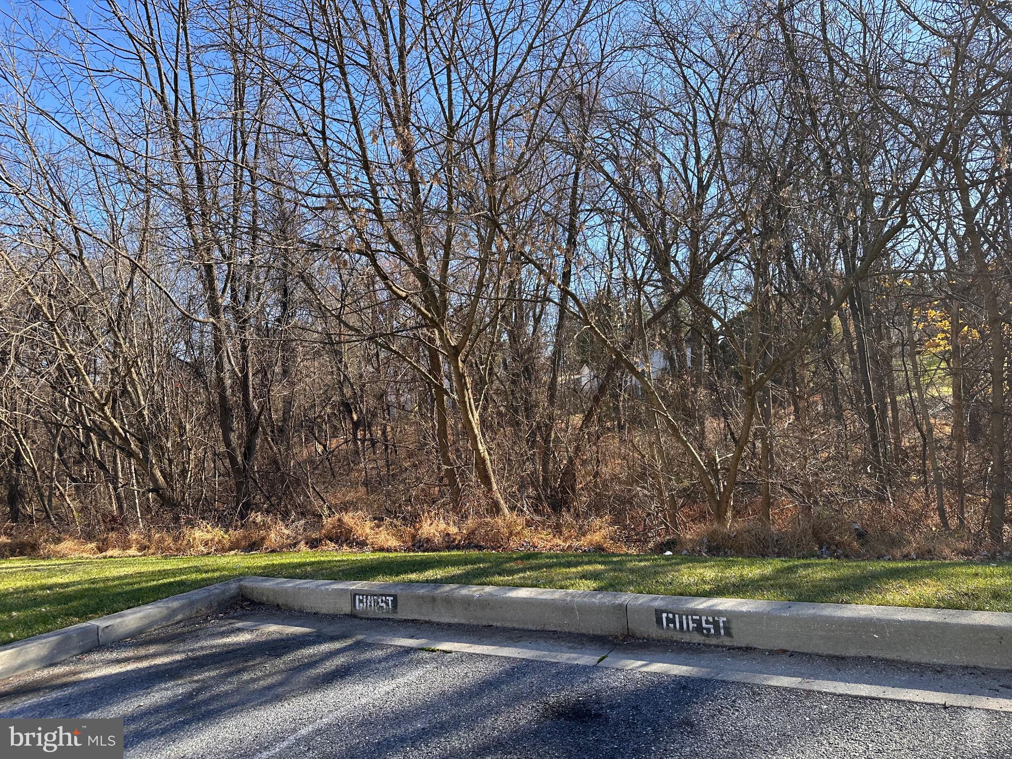 126 Gentlebrook Road Owings Mills, MD 21117 - Photo 29 of 30 a view of backyard with green space