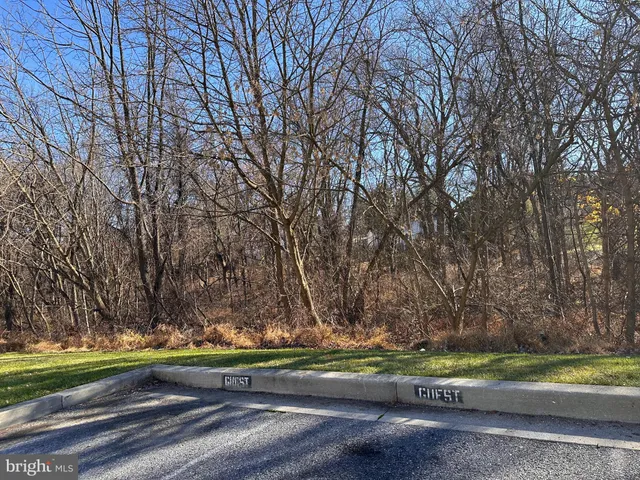 a view of backyard with green space