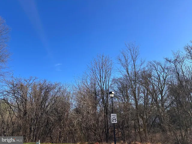 a view of a city with lush green forest
