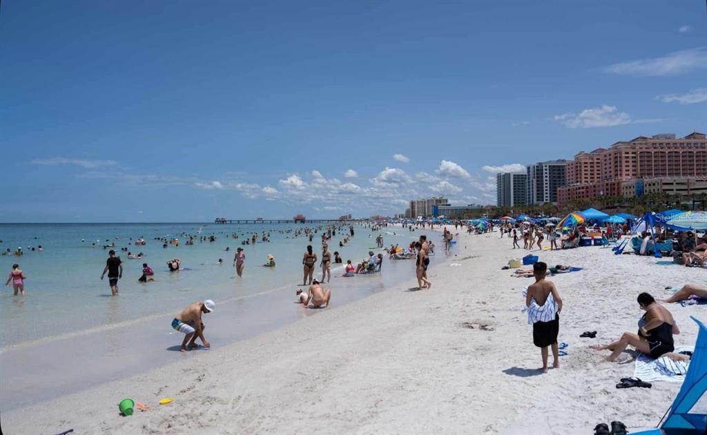 1818 Hacienda Way Holiday, FL 34690 - Photo 45 of 60