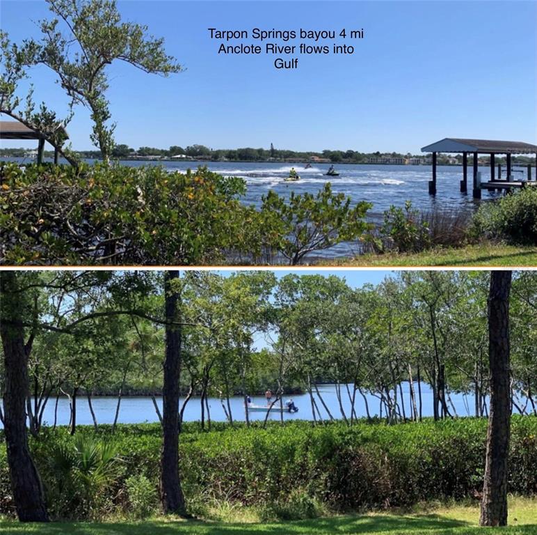 1818 Hacienda Way Holiday, FL 34690 - Photo 49 of 60