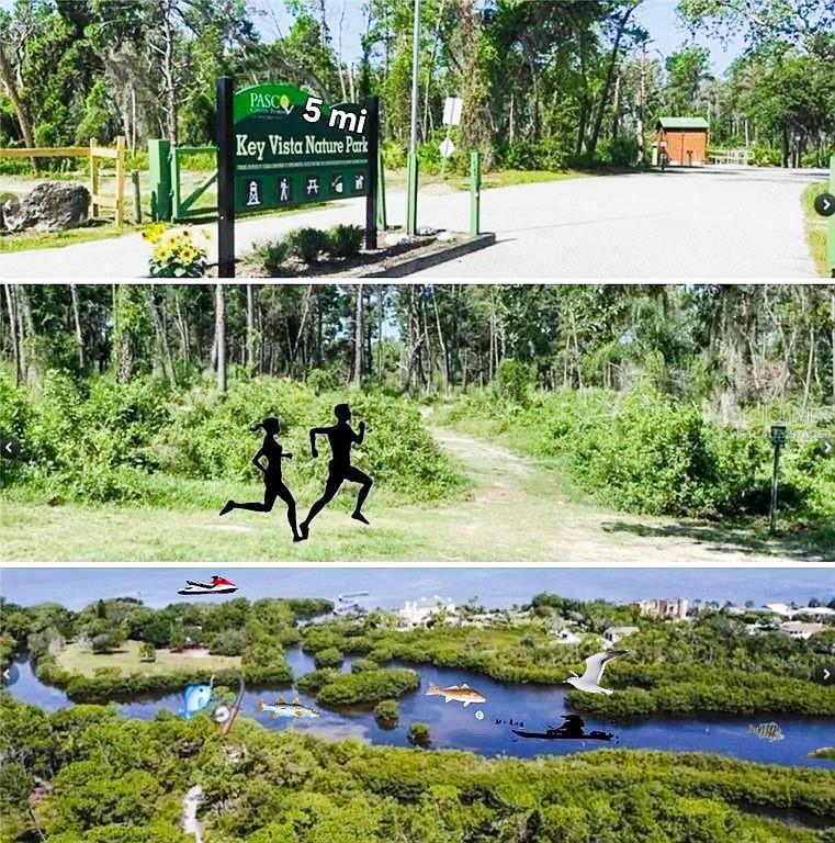 1818 Hacienda Way Holiday, FL 34690 - Photo 53 of 60