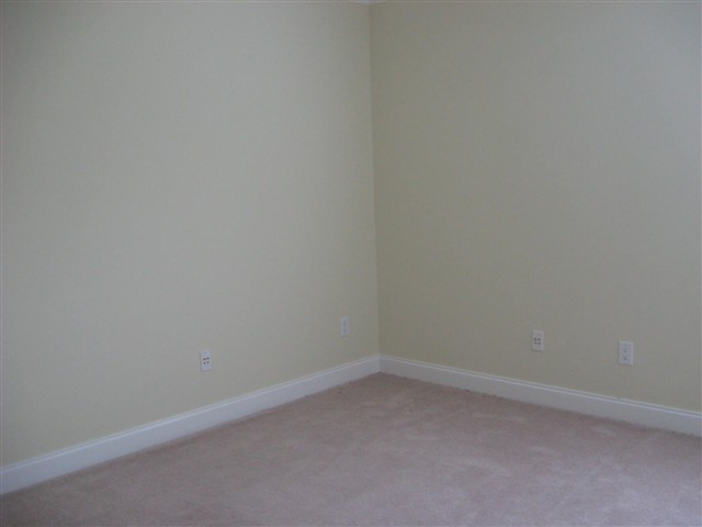 247 Lowe Road Piedmont, SC 29673 - Photo 9 of 24 Gallery Image 9