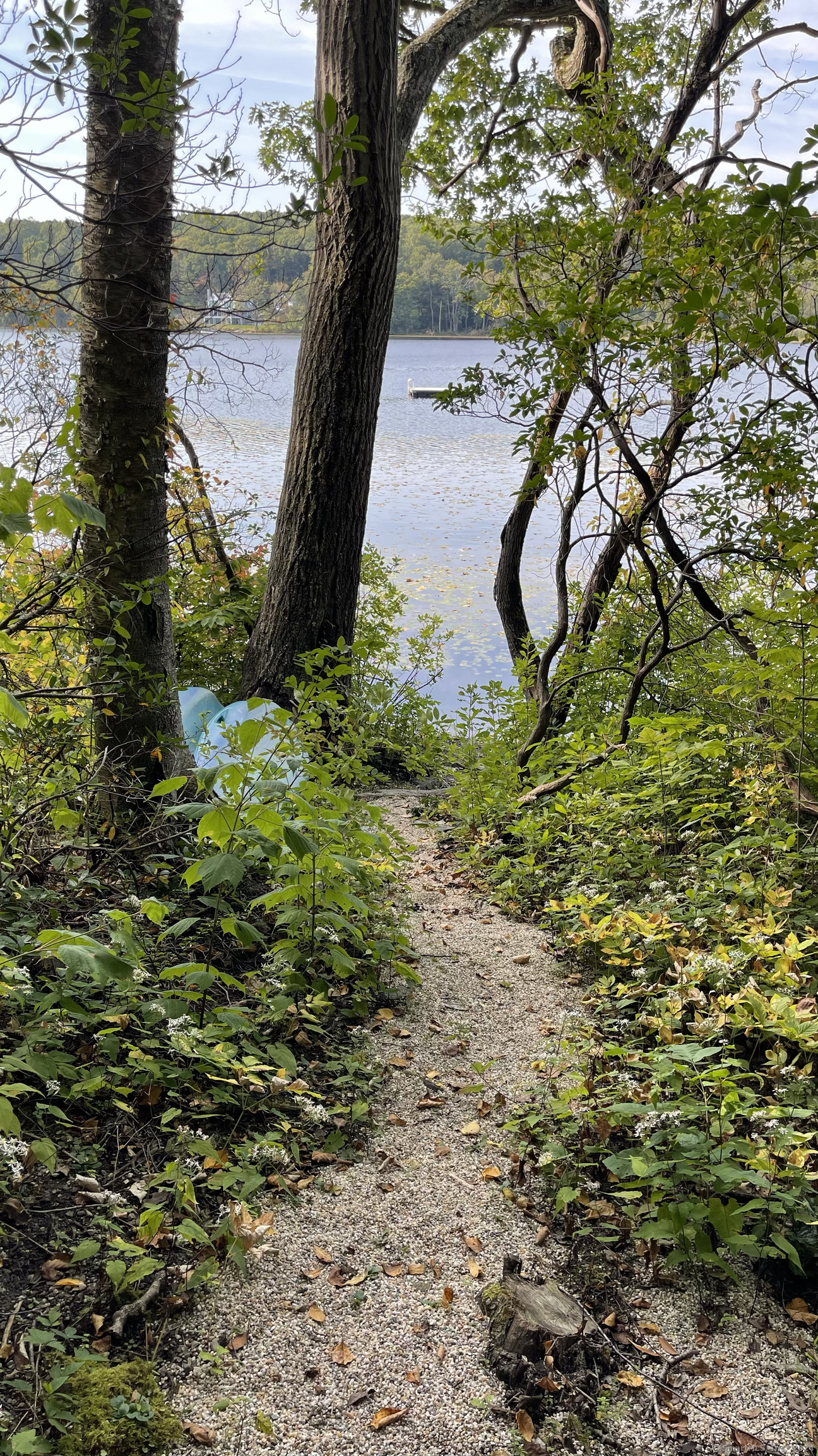 433 Segar Mountain Road Kent, CT 06785 - Photo 3 of 15 a view of statue in the garden